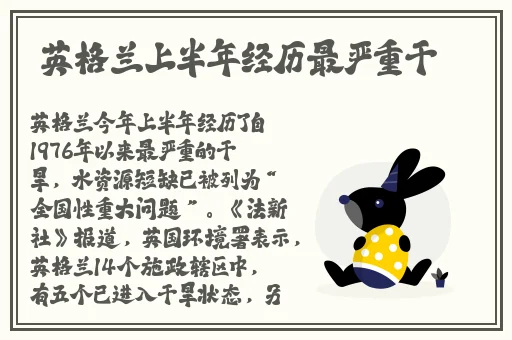 ysl千人千色T9T9T9T9