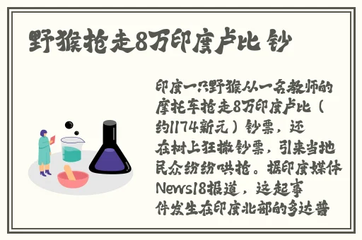 站长统计APP进入网址新版